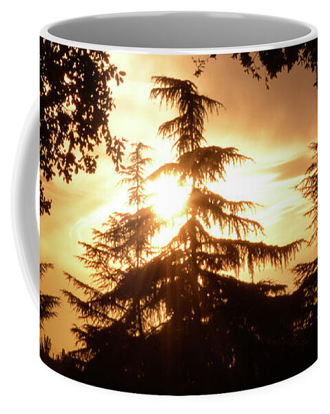 Evergreen Tree Silhouette Coffee Mug featuring the photograph Beaumont Sunset by Leah McPhail