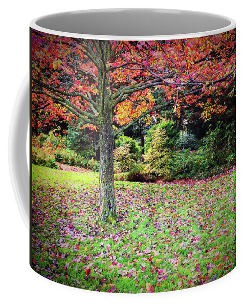 Trees Coffee Mug featuring the photograph Beautiful autumn landscape full of colors by GoodMood Art