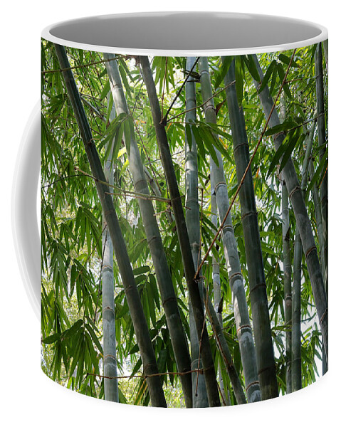 Bamboo Coffee Mug featuring the photograph Beautiful Bamboo by Carol Groenen