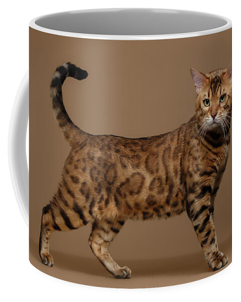 Cat Coffee Mug featuring the photograph Beautiful Bengal Cat Stands on Brown background by Sergey Taran