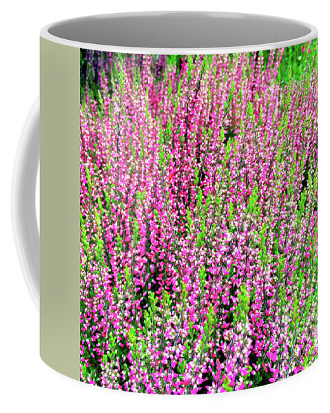 Heather Coffee Mug featuring the photograph Beautiful blooming heather by GoodMood Art