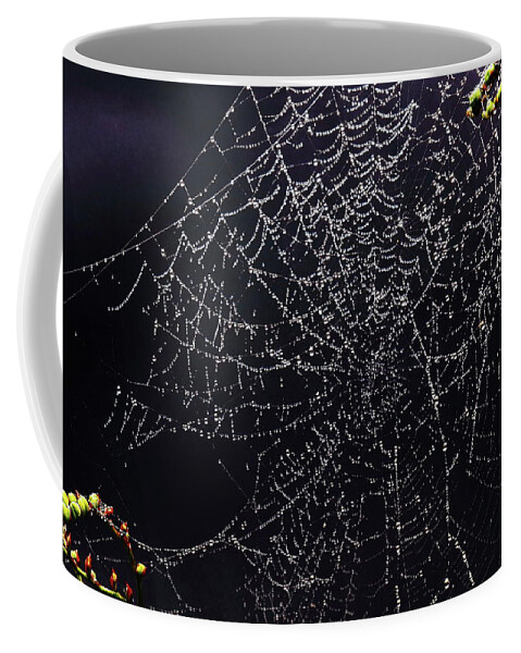 Spiders Webs Coffee Mug featuring the photograph Beautiful Entrapment by Jeff Townsend