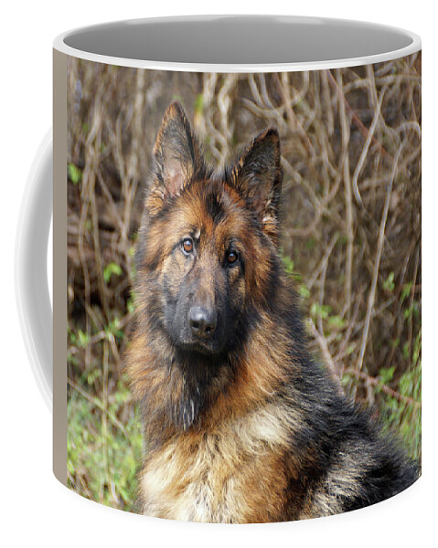 German Shepherd Coffee Mug featuring the photograph Beautiful Jessy by Sandy Keeton