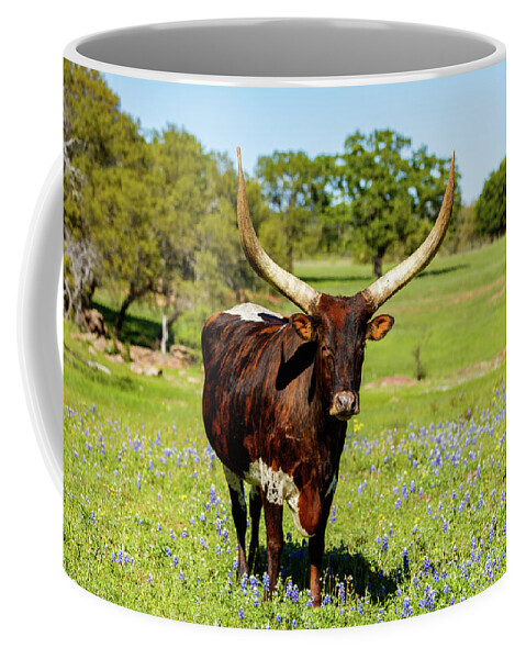 African Breed Coffee Mug featuring the photograph Beautiful longhorn bull by Raul Rodriguez
