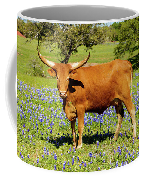 African Breed Coffee Mug featuring the photograph Beautiful longhorn cow by Raul Rodriguez