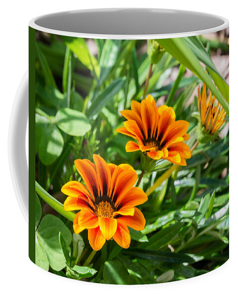 Flower Coffee Mug featuring the photograph Beautiful Orange Flowers by Valerie Cason