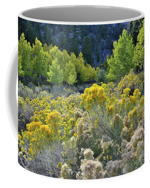 Humboldt-toiyabe National Forest Coffee Mug featuring the photograph Beautiful Rabbitbrush in Mt. Charleston Basin by Ray Mathis