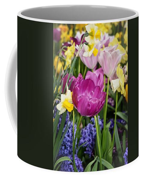 Beauty Coffee Mug featuring the photograph Beautiful Time of Year by Mike Martin