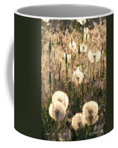 Weeds Coffee Mug featuring the photograph Beautiful Weeds by Carol Groenen