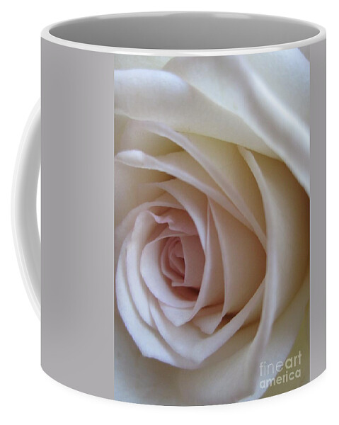 Floral Coffee Mug featuring the photograph Beautiful White Rose by Tara Shalton