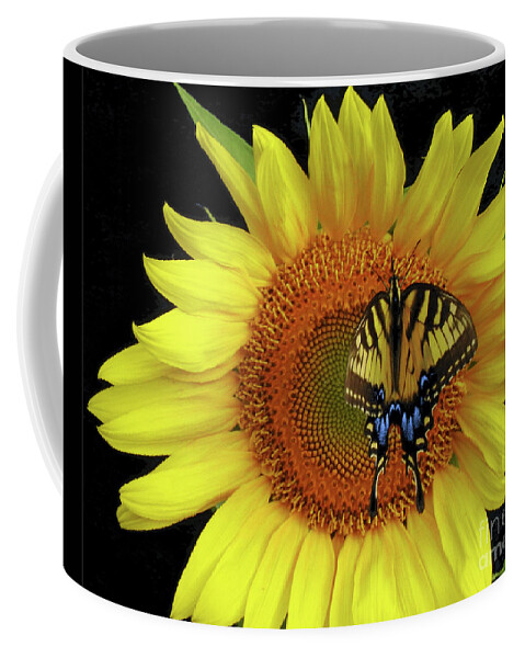 Sunflowers Coffee Mug featuring the photograph Beauty in Nature by Scott Cameron