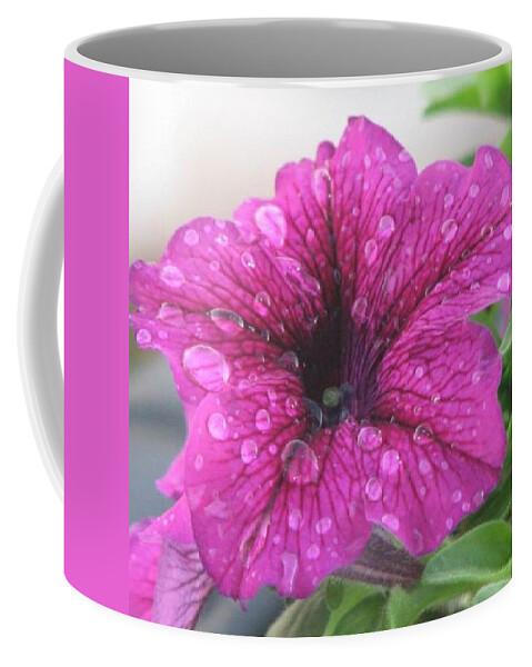Purple Coffee Mug featuring the photograph Beauty in Nature by Sharon Duguay