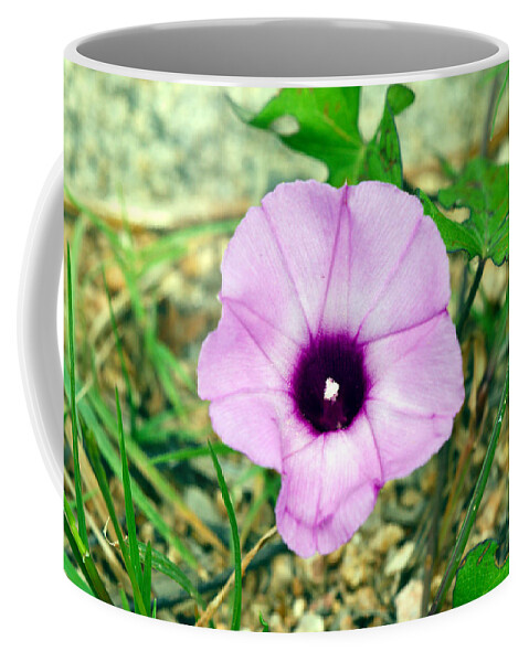 Purple Coffee Mug featuring the photograph Beauty in the rough by James Smullins