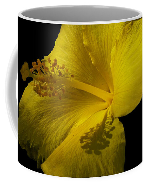Yellow Flower Coffee Mug featuring the photograph Beauty in Yellow by Maria Aduke Alabi