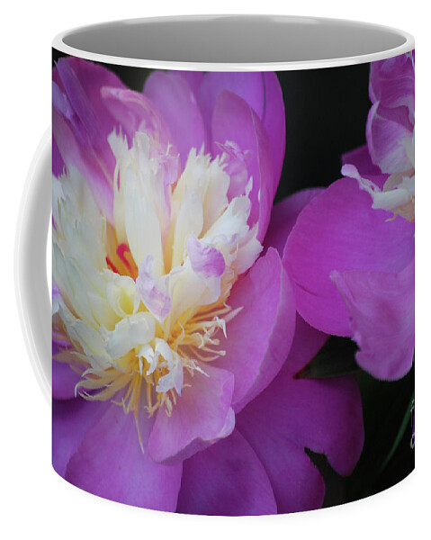 Peony Coffee Mug featuring the photograph Beauty is what we do by Lori Tambakis