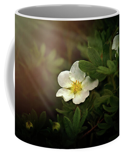 Yellow Flower Photography Coffee Mug featuring the photograph Beauty of the Bloom Print by Gwen Gibson