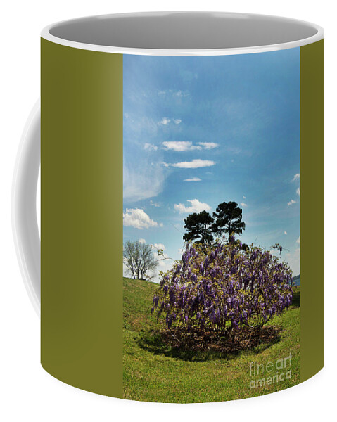 Scenic Coffee Mug featuring the photograph Beauty by Skip Willits