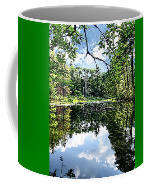 Lake Coffee Mug featuring the photograph Beaver Lake by Mark Sellers