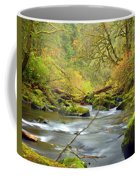 Beaver Creek Coffee Mug featuring the photograph Beaver Creek in Fall by Scott Gould