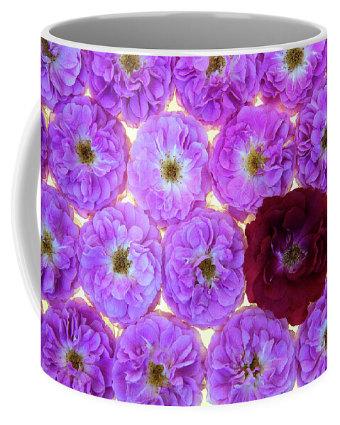 Jigsaw Puzzle Coffee Mug featuring the photograph Bed of Roses2 by Carole Gordon