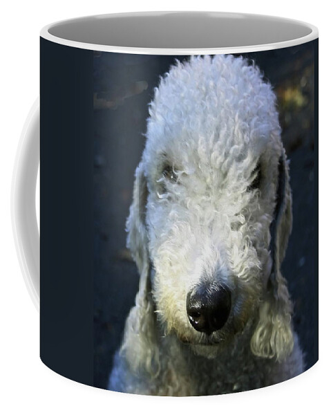 Dog Coffee Mug featuring the photograph Bedlington Terrier by Jeff Townsend