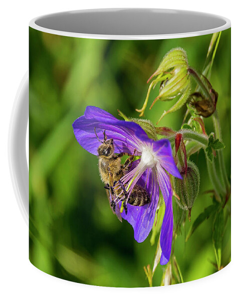 Nature Coffee Mug featuring the photograph Bee at work by Ulrich Burkhalter