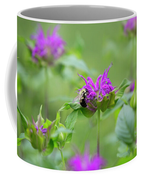 Monarda Coffee Mug featuring the photograph Bee Balm by Diane Diederich