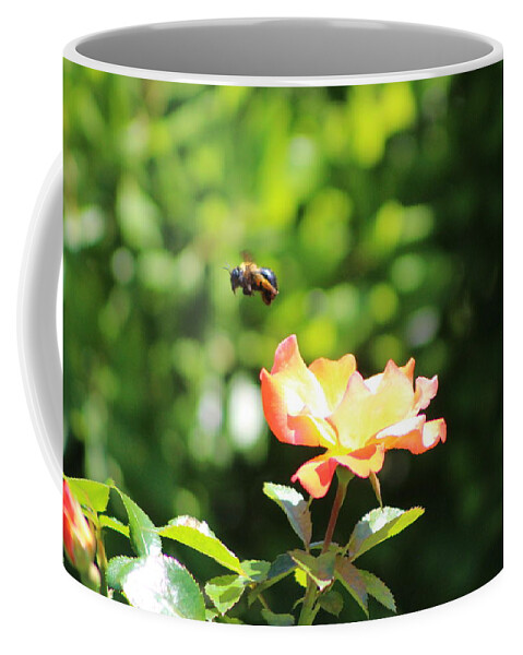Honey Bee Coffee Mug featuring the photograph Bee Flying from Peach Petal Rose by Colleen Cornelius
