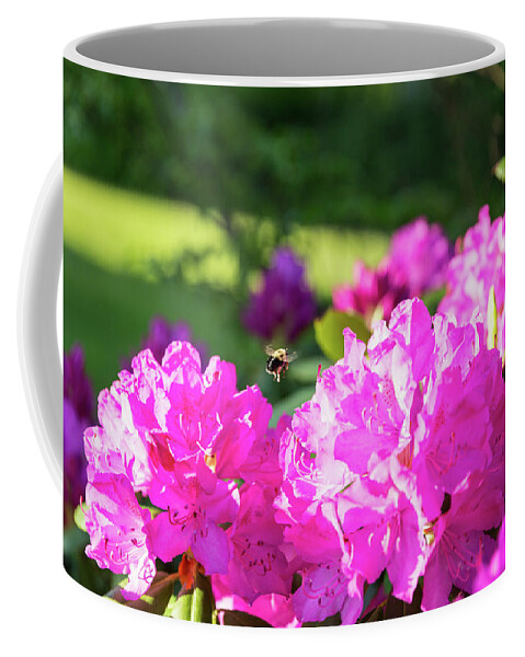 Bee Coffee Mug featuring the photograph Bee Flying Over Catawba Rhododendron by D K Wall