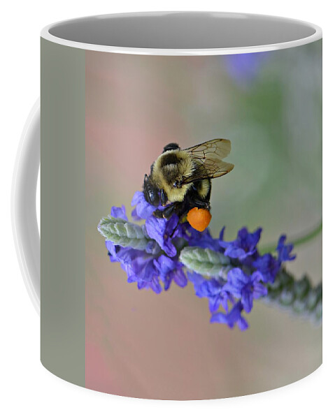 Bumble Bee Coffee Mug featuring the photograph Bee Grateful by Carolyn Mickulas
