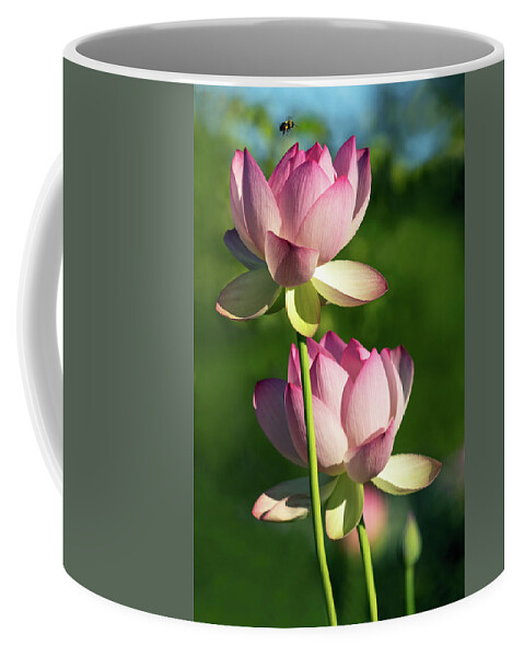 Lotus Coffee Mug featuring the photograph Bee Makes Three by Art Cole