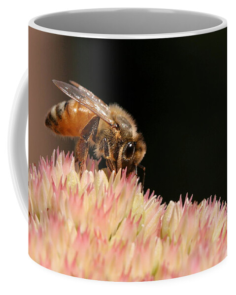 Bee Coffee Mug featuring the photograph Bee on Flower 2 by Angela Rath