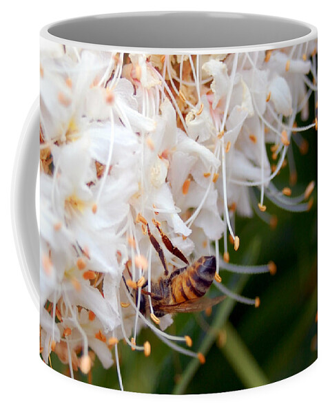 Flower Coffee Mug featuring the photograph Bee on Flowers 1 by Amy Fose