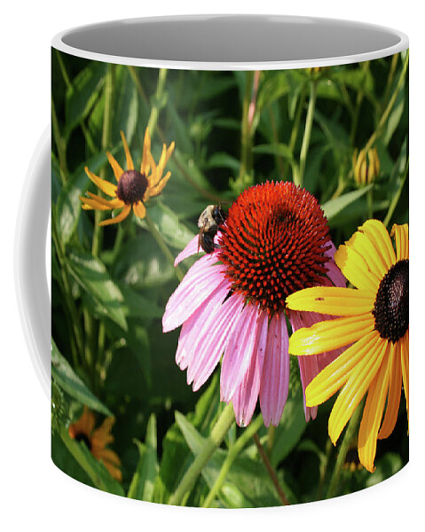 Cone Flower Coffee Mug featuring the photograph Bee on the Cone Flower by Greg Joens