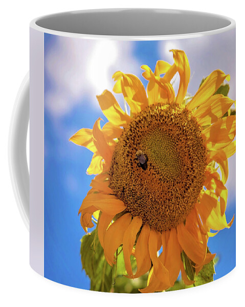 Sunflower Coffee Mug featuring the photograph Bee shaded by Sunflower by Toni Hopper