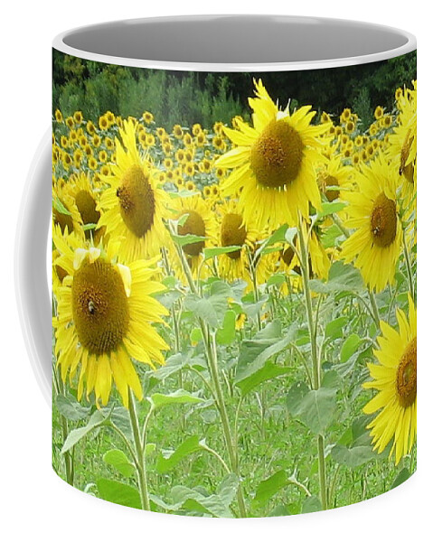Flowers Coffee Mug featuring the photograph Bees Having Lunch by Ed Smith