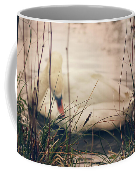 Swan Coffee Mug featuring the photograph Before the Night Falls by Jasna Buncic