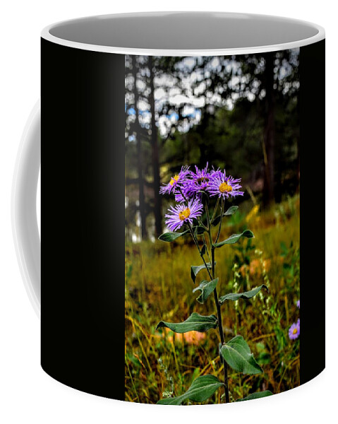 Purple Flowers Coffee Mug featuring the photograph Before the Rain by Michael Brungardt