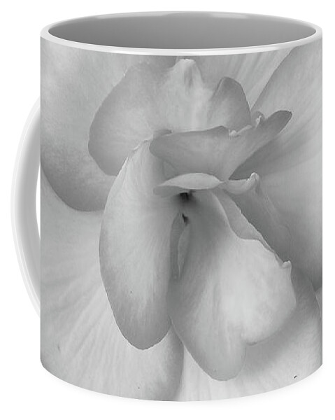 Begonia Coffee Mug featuring the photograph Begonia No. 1-1 by Sandy Taylor
