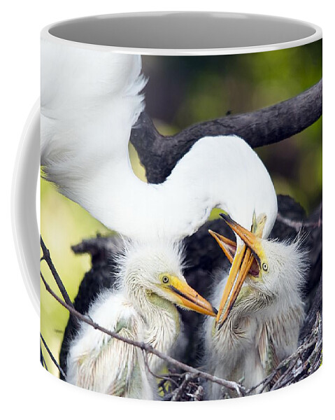 Wildlife Coffee Mug featuring the photograph Being A Mom Is Tough by Kenneth Albin