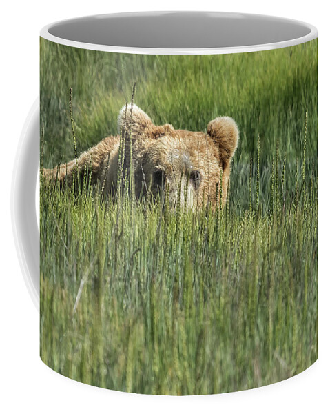 Brown Bear Coffee Mug featuring the photograph Being Watched by a Big Brown Bear by Belinda Greb