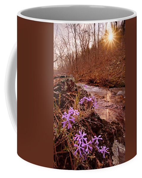 Flowers Coffee Mug featuring the photograph Bell Mountain Wilderness, Missouri. Shut-ins Creek Hike. by Robert Charity