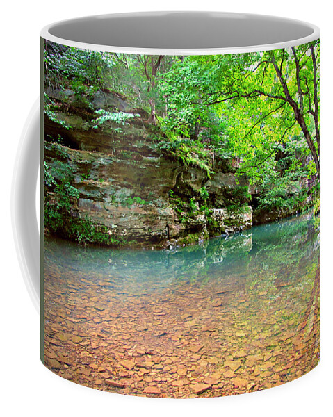 Bell Smith Springs Coffee Mug featuring the photograph Bell Smith Springs by Jessica Anne