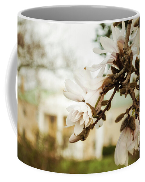 Floral Coffee Mug featuring the photograph Bellevue Mansion Botanical / Nature / Floral Photograph by PIPA Fine Art - Simply Solid