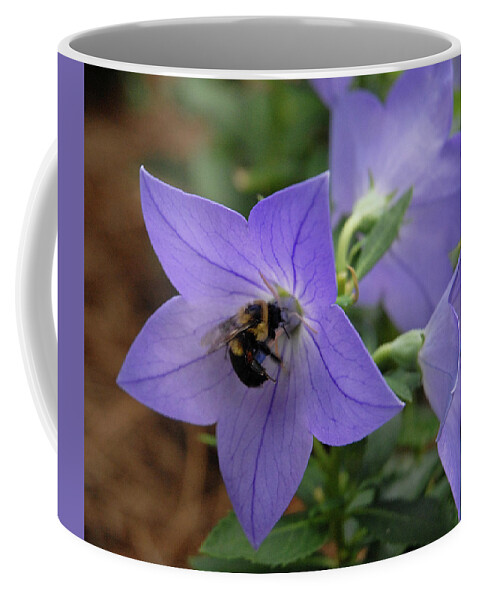 Bellflower Coffee Mug featuring the photograph Bellflower and Bee by Marie Hicks