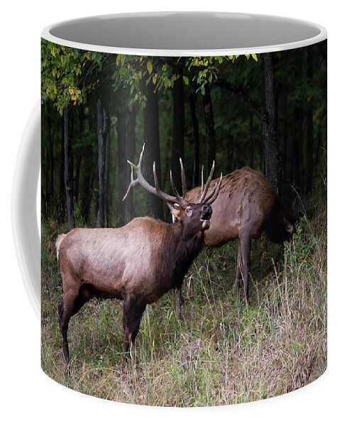 Elk Coffee Mug featuring the photograph Bellowing by Andrea Silies