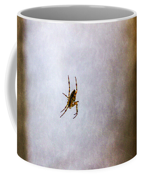 Bonnie Follett Coffee Mug featuring the photograph Belly of the spider by Bonnie Follett