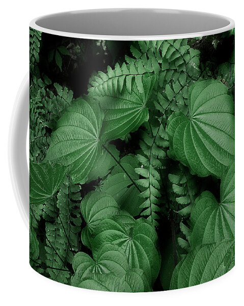 Leaves Coffee Mug featuring the photograph Below The Canopy by Mike Eingle