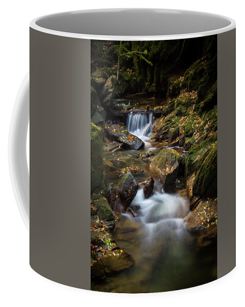Waterfall Coffee Mug featuring the photograph Below Torc by Mark Callanan
