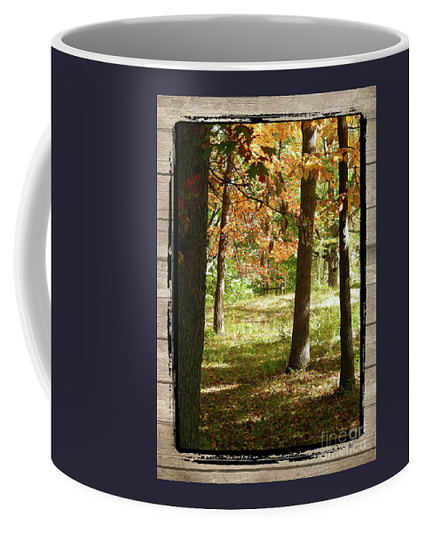 Ann Arbor Coffee Mug featuring the photograph Bench In The Woods by Phil Perkins